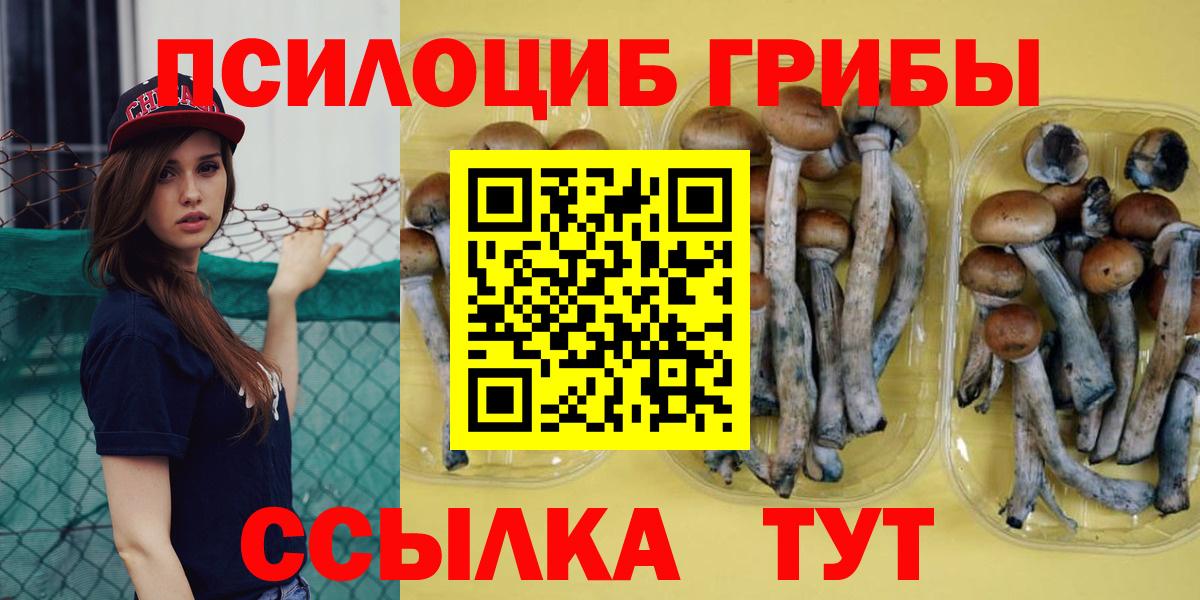 Псилоцибиновые грибы ЛСД Отрадный